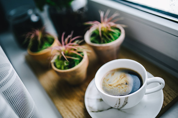 Summer Coffee Morning